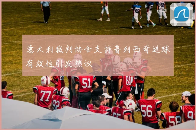 意大利裁判协会支持普利西奇进球有效性引发热议