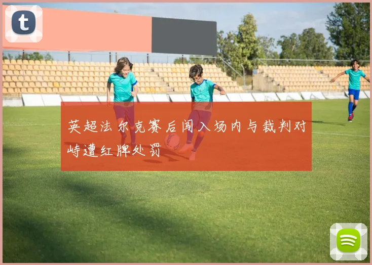 英超法尔克赛后闯入场内与裁判对峙遭红牌处罚
