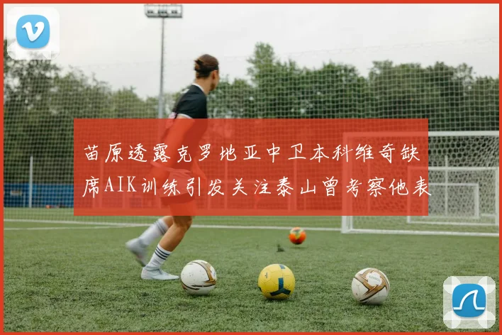 苗原透露克罗地亚中卫本科维奇缺席AIK训练引发关注泰山曾考察他表现