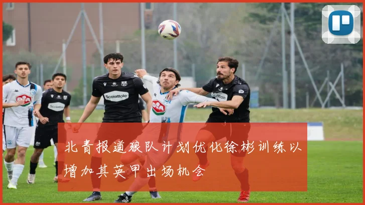 北青报道狼队计划优化徐彬训练以增加其英甲出场机会