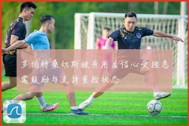 罗伯特桑切斯被弃用后信心受挫急需鼓励与支持重拾状态